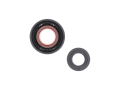 DT Swiss bębenek + adapter Road Shimano MS (Ratchet EXP) 12/142mm