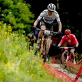 Vittoria opona Torrente XC Race 29x2.4 TLR transparentna