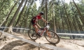 Elite koszyk Rocko Carbon Mat-Red