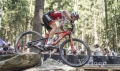 Elite koszyk Rocko Carbon Mat-Red