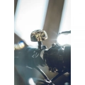 Lezyne dzwonek Classic Brass Small mosiądz-czarny