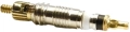 Stan’s NoTubes wkład wentyla presta VALVE CORE 1szt