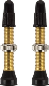 WTB wentyle TCS Presta 34mm złote