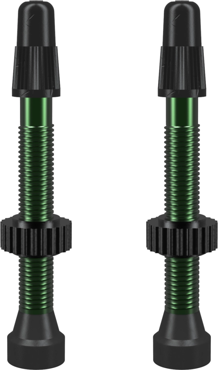 WTB wentyle TCS Presta 46mm zielone