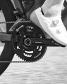Rotor ramiona korby szosowej Aldhu Carbon 175mm
