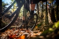 Cane creek korba MTB eeWings DM 165mm