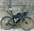 Elite koszyk Prism Carbon Left Gold-Metal