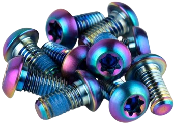 Sram śruby do tarczy hamulcowej 6śr 12szt Rainbow tęczowe