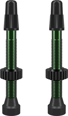 WTB wentyle TCS Presta 46mm zielone