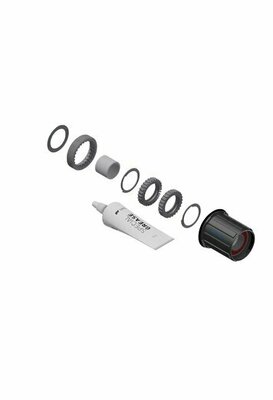 DT Swiss zestaw do konwersji piast 3-zapadki do Ratchet LN Shimano 36T
