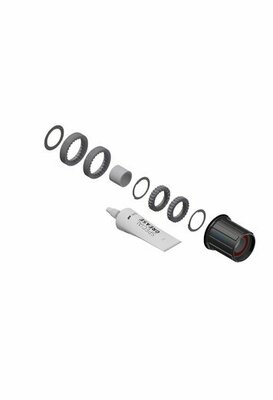DT Swiss zestaw do konwersji piast 3-zapadki do Ratchet LN Shimano Hybrid