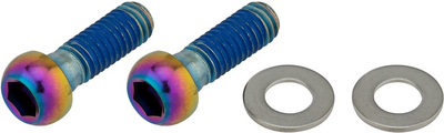 Sram śruby do mocowania zacisku hamulcowego M6x17 rainbow