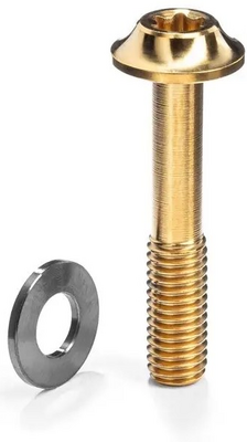 absoluteBlack śruba tytanowa Flat Mount M5x15mm 1szt złota