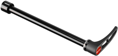 DT Swiss zacisk tył E-Thru Hollow Axle 12/142mm alu