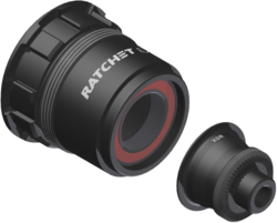DT Swiss bębenek + adapter Road Sram XDR (Ratchet EXP) 5/130/135mm