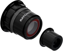 DT Swiss bębenek + adapter Road SRAM XDR (Ratchet LN)  12/142mm