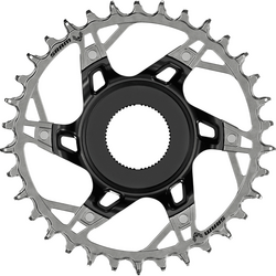 Sram koronka XX Eagle Steps Direct Mount 12rz srebrna 36T
