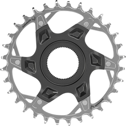 Sram koronka XX Eagle Brose Direct Mount 12rz srebrna 34T