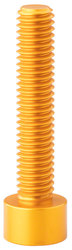 Cane Creek śruba AER Preload Bolt złota